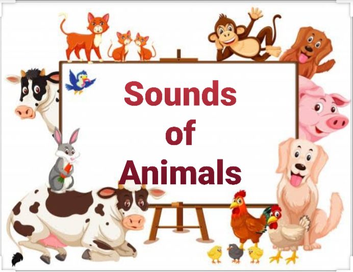 List of Animals' Sounds - Explore More and Learn