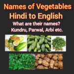 Names of vegetables Hindi to English