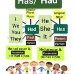 Has vs Had